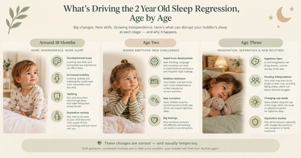 2 year old sleep regression 4 Infographic showing toddler sleep regression causes by age from 18 months to three years