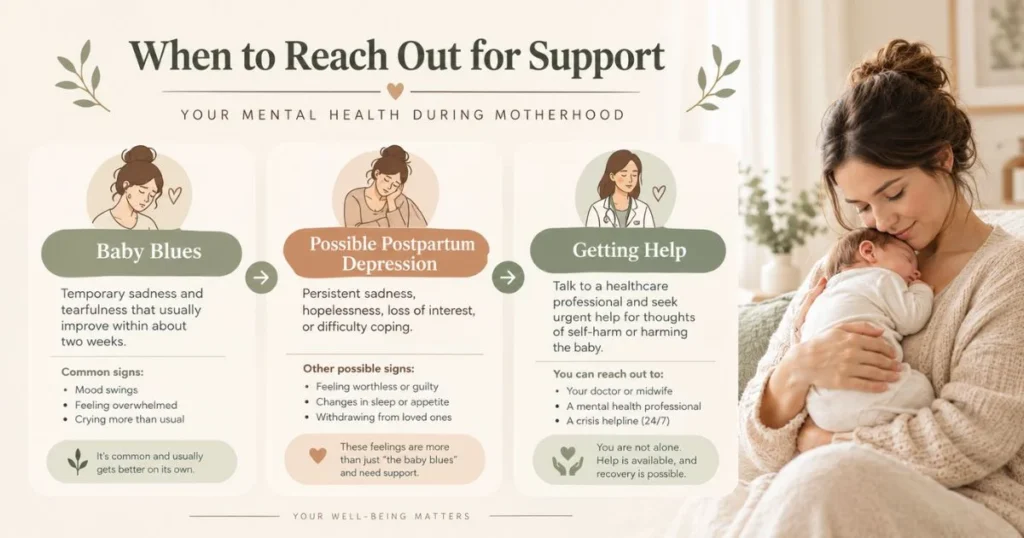 Motherhood Maternity: A Guide to Pregnancy & New Moms 5 Infographic explaining baby blues, postpartum depression symptoms, and when to seek help